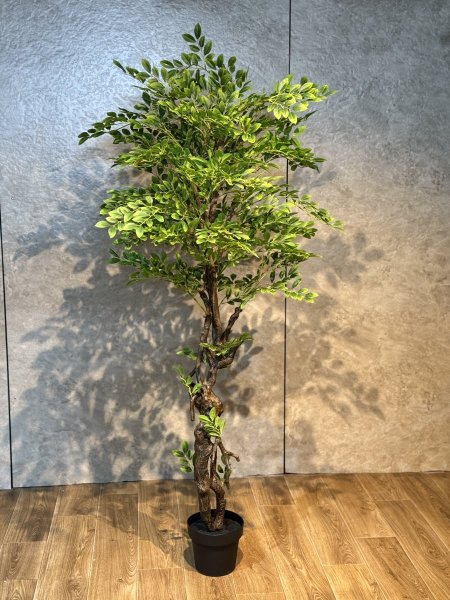 شجرة ورق T-005